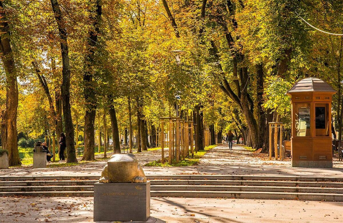 Centar 1 *